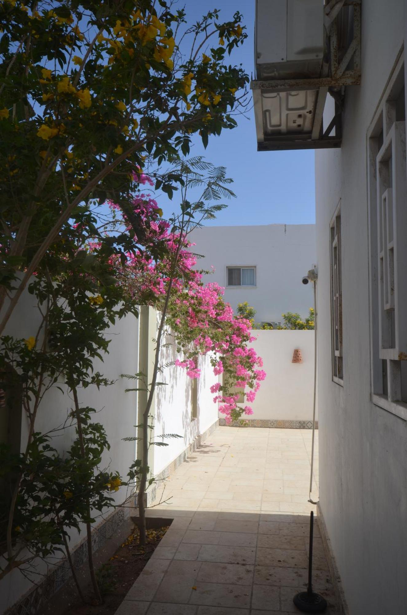 Elite Residence Dahab Zewnętrze zdjęcie